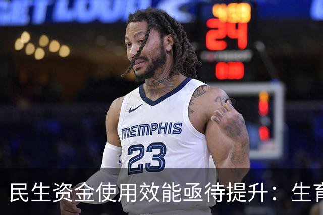 民生资金使用效能亟待提升：生育津贴与保障性住房问题分析